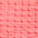 Hot Coral