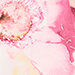 Cream/Pink