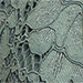 Eucalyptus Leaf