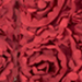 Cabernet