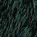 Dark Moss