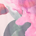 Rosé/Dark Pink